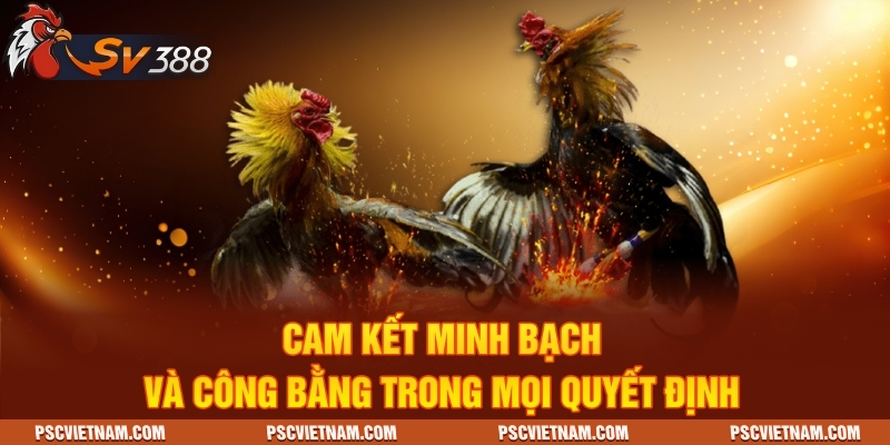 Cam kết minh bạch và công bằng trong mọi quyết định