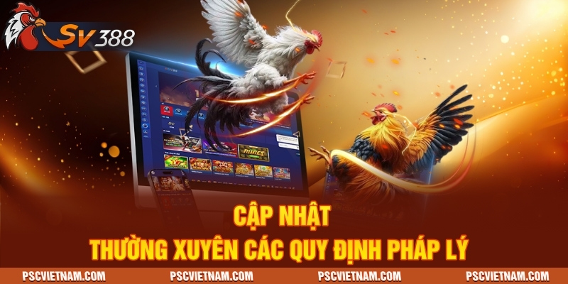 Cập nhật thường xuyên các quy định pháp lý
