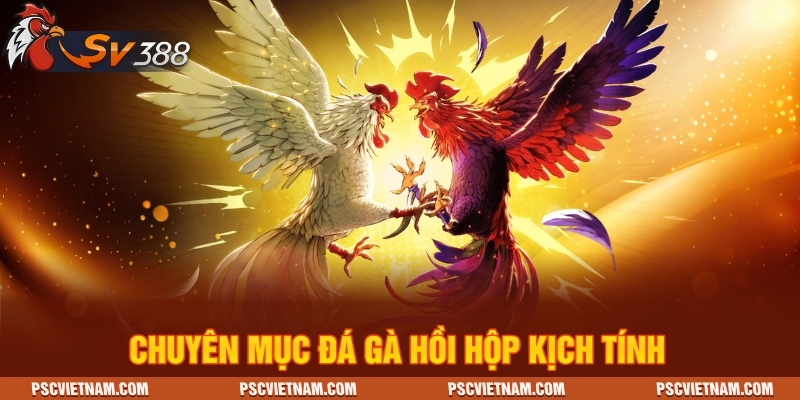 Chuyên mục đá gà hồi hộp kịch tính