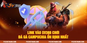 Link vào SV388