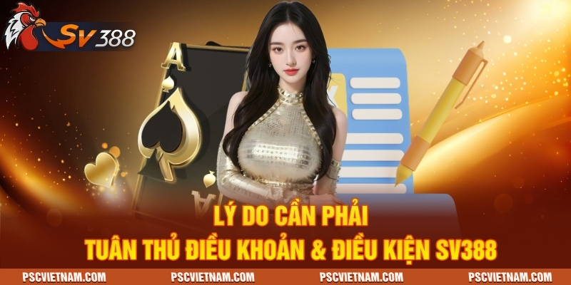 Lý do cần phải tuân thủ điều khoản & điều kiện SV388